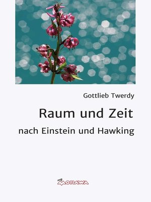 cover image of Raum und Zeit
